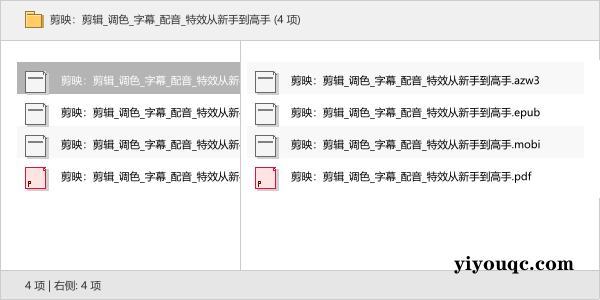 剪映:剪辑调色字幕配音特效从新手到高手-向阳资源站