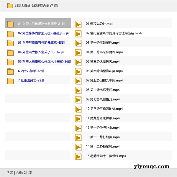 刘莹太极拳视频课程合集-向阳资源站