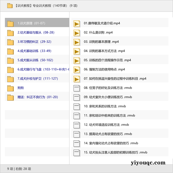 专业训犬教程（140节课）-向阳资源站