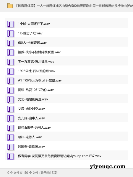 一人一首网红成名曲整合500首无损歌曲每一首都曾是热搜榜神曲[WAV+19.9GB]-向阳资源站