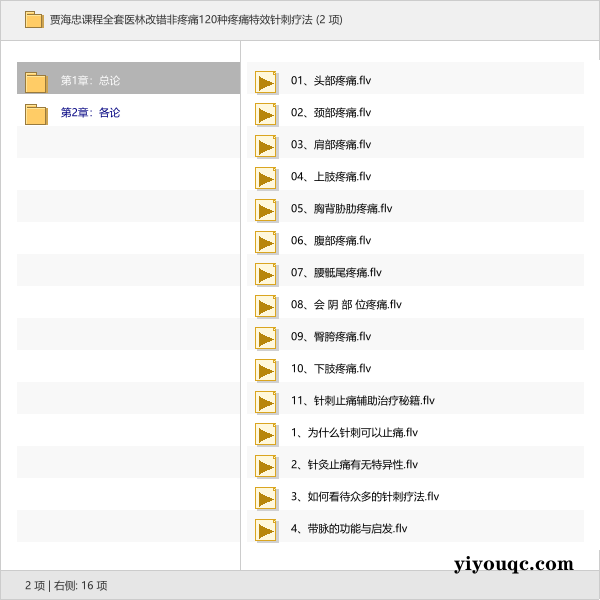 贾海忠课程全套医林改错非疼痛120种疼痛特效针刺疗法-向阳资源站