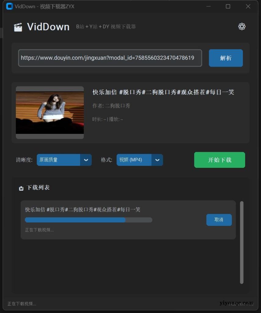 VidDown视频下载器v1.0无水印下载B站/钭音/油管等-向阳资源站