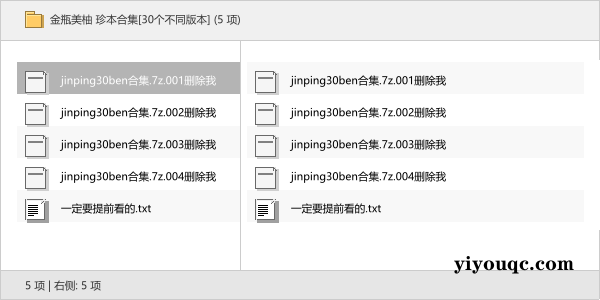 金瓶美柚 珍本合集[30个不同版本]-向阳资源站