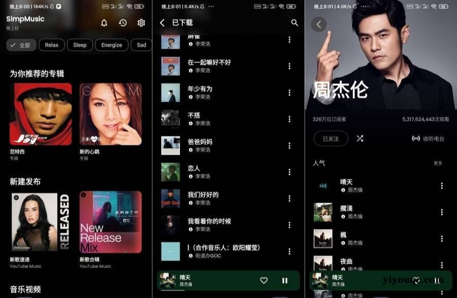 SimpMusic超强音乐神器支持批量下载-向阳资源站