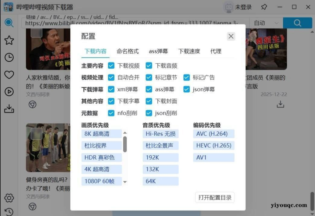 哔哩哔哩下载器0.1.1支持弹幕字幕无损缓存可批量下载-向阳资源站