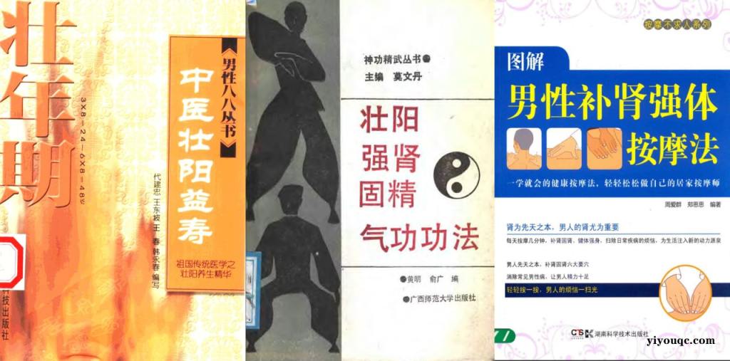 男性健康养生壮阳补肾电子书合集-向阳资源站