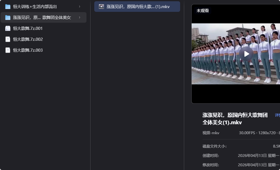 恒大歌舞团精选资源,舞动艺术之美-向阳资源站